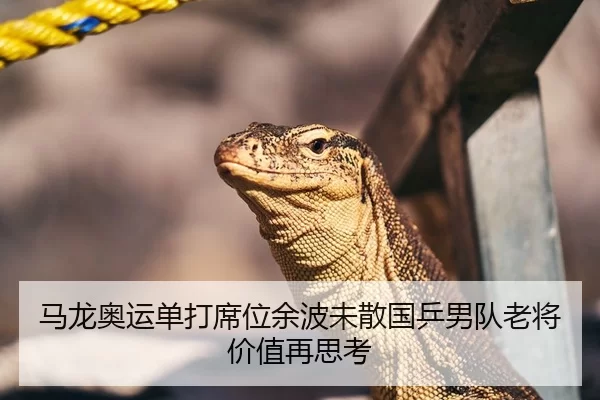 马龙奥运单打席位余波未散国乒男队老将价值再思考
