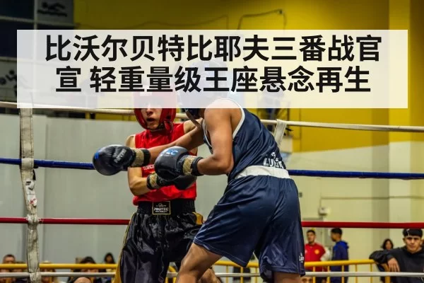 boxer in ring
