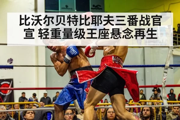 boxing championship